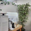 에브리캣 이미지