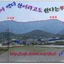 다산약초