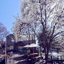 푸른주유소 | [제천] '커피라끄' 주유소의 변신은 무죄! 청풍호를 품은 인생 뷰 카페