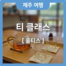 제주카페🍵 제주찻집 다도체험 차밭힐링을 2만원에, 올티스