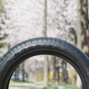 한밭들길 이미지