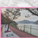 하시온치과의원 이미지