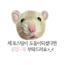 백소정대구경북대점 이미지