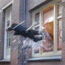 상목 | [📝 /251206] 제42회 보건의료정보관리사 국가고시