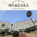 바다호프 | 금호리조트 스위트 한실 바다뷰 숙박 후기