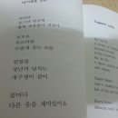 총신대학교 신충훈 교수님의 시집 - 노래하는 꽃 나무 이미지