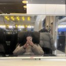 더존DC 이미지