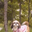 도봉-쌍문-도봉-1244 이미지