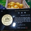 못난이 성주 꿀참외 10kg 45,000원에 무료배송 해드립니다 이미지