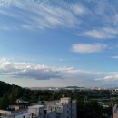 리젤펠리스APT 이미지