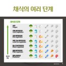 10월의비건테이블