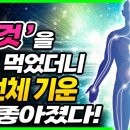 건강연구소 이미지