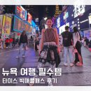 써니캠핑카 | 미국 뉴욕 여행 일정 추천 타미스 빅애플패스 사용 후기 경비 절약 꿀팁