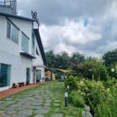 남촌도림동-14 이미지