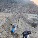 새천년농장 이미지