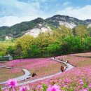 (주)핀타운 이미지