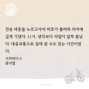 님 미국에서 와서 시차 적응이 안듀ㅐㅅ나본데. 시작ㅎ다 이미지