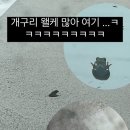 스테이13월 E 네이버블로그