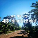 안덕면 상창리사무소 입구 | 제주 힐링 여행 제주 숨은 명소 뉴진스와 수리남이 선택한 에이디디코리아 방문 후기