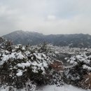 비파산성 티스토리