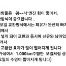 중동자동차정비 이미지
