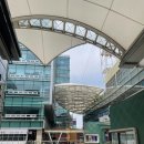 레푸스앤스타일일산