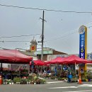 대야시장 | 군산 리즈리 대야 오일장 장날에 다녀온 정원 카페 후기