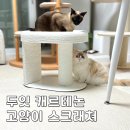 두잇디자인연구소 | 두잇 캐르테논 스크래처 아기 고양이용품 스크래쳐 미니캣타워 사용후기
