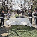 대부목장 이미지