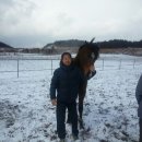 대천목장 이미지