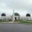 팜스프링 이미지