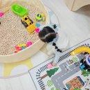 아이꿈터어린이집 승합차 | 28개월 아기 주안 아이사랑 꿈터 미추홀구 6호점 N차 방문후기