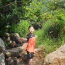 호명산캠프 이미지