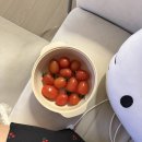 윌슨미용실 | 정네의 일상 _ 4월안녕, 벌써 26년5월이야