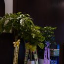 국제통닭 명지점 이미지