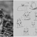 다람쥐디자인 이미지