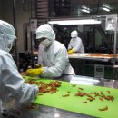 정심축산 이미지