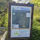 원주굽이길 17코스 동화마을진달래길 이미지