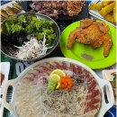 싱싱포차산오징어;활어