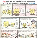 흥전초교 이미지