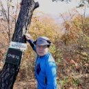 정배농장 이미지