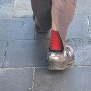 굿디펜스 | 2025-2026시즌 KBL 한국가스공사 VS KCC 직관후기(농알못 야구팬시점)