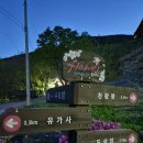 대구 비슬산 참꽃군락지 개화시기(22.04.20.) : 이번주가 절정 - 유가사 코스