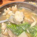 오로지생태한마리 이미지