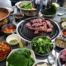 쫄깃하고 고소한 육즙, 프리미엄 돼지구이 신상 맛집 5곳