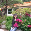 화려한외출투 이미지