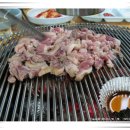 칠보산오리 이미지