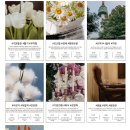 데이지플라워샵 이미지