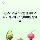 과일뱅크