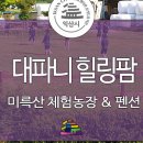 대파니 힐링팜 이미지